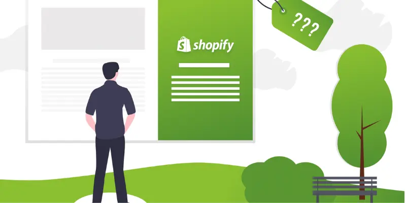 Shopify Store Development Costs